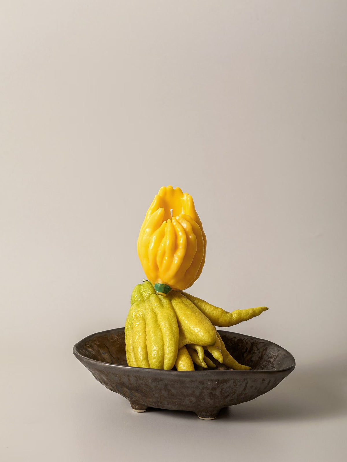 Cenhill | Private Label Soy Wax Candles & Food-Shaped Candles